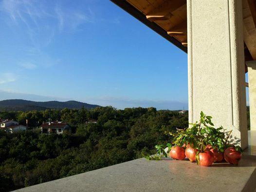 Residence Oliveto Mare Carso Sistiana Kültér fotó