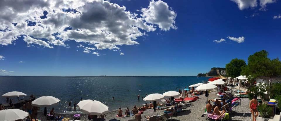 Residence Oliveto Mare Carso Sistiana Kültér fotó